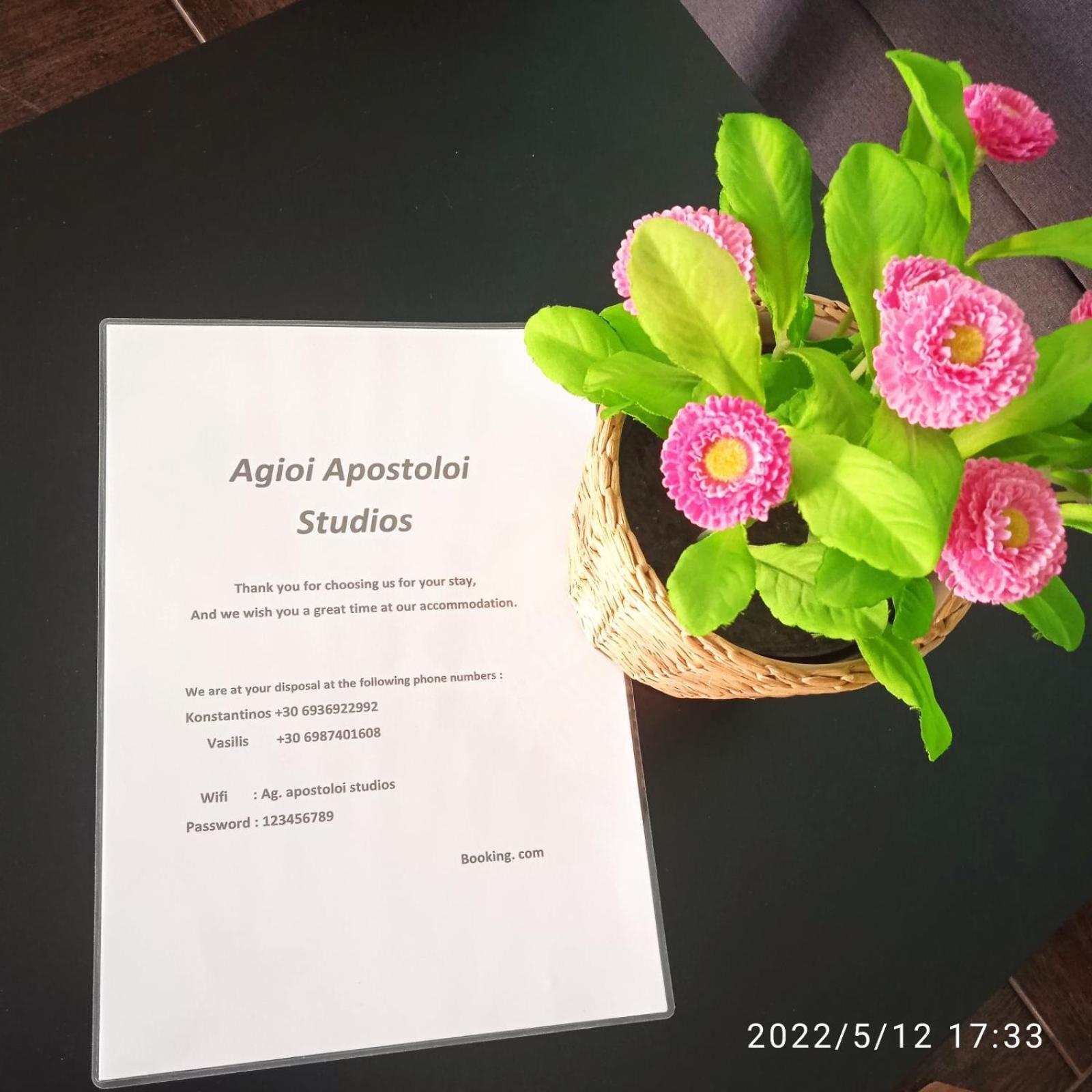 Ag.Apostoloi Studios Agioi Apostoloi  Værelse billede